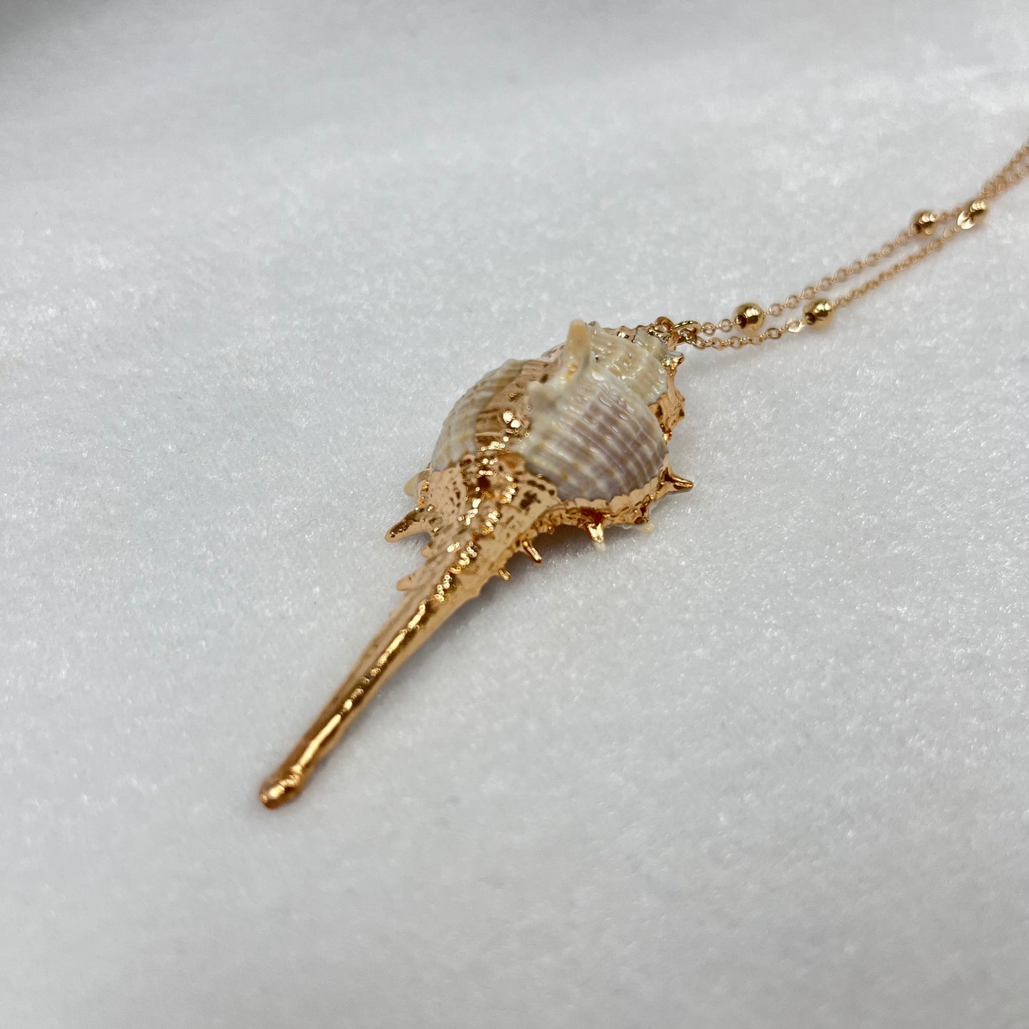 希臘女神阿芙蘿黛蒂儀式 貝殼護身符