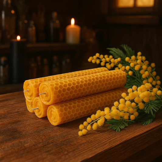Acacia Flower Beeswax rolled candle 金合歡花手捲蜂蠟紙蠟燭