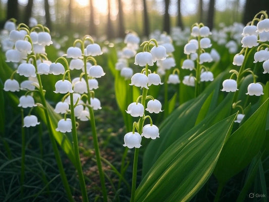 Lily of the Vally Magickal Cone Incense 鈴蘭 魔法塔香