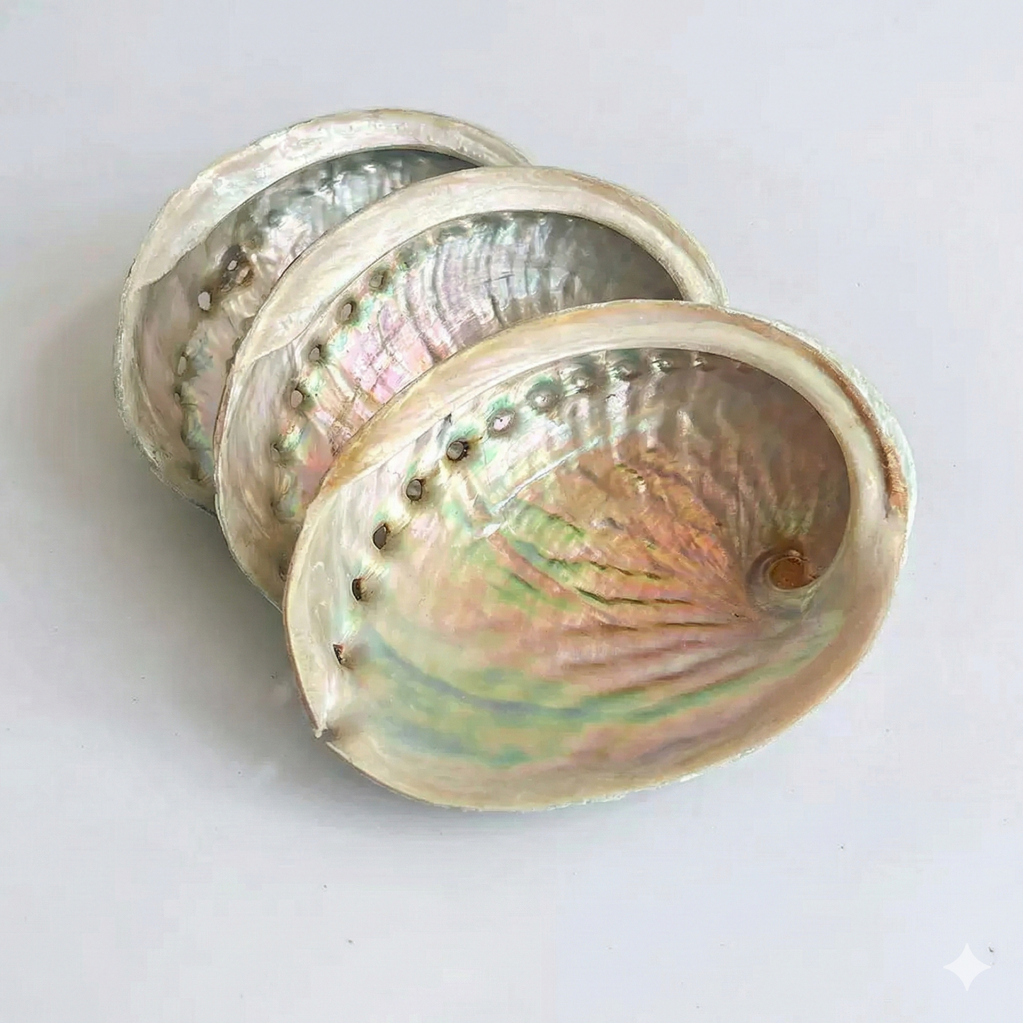 Natural Rainbow Abalone Shell Smudging Vessel 天然彩虹鮑魚殼淨化碗