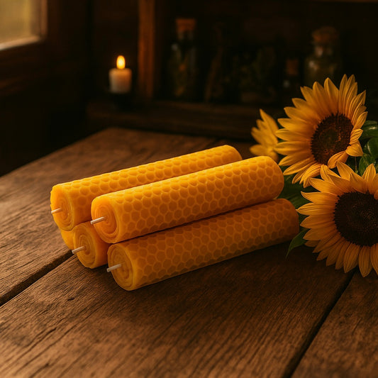 Sunflower Beeswax rolled candle 向日葵手捲蜂蠟紙蠟燭